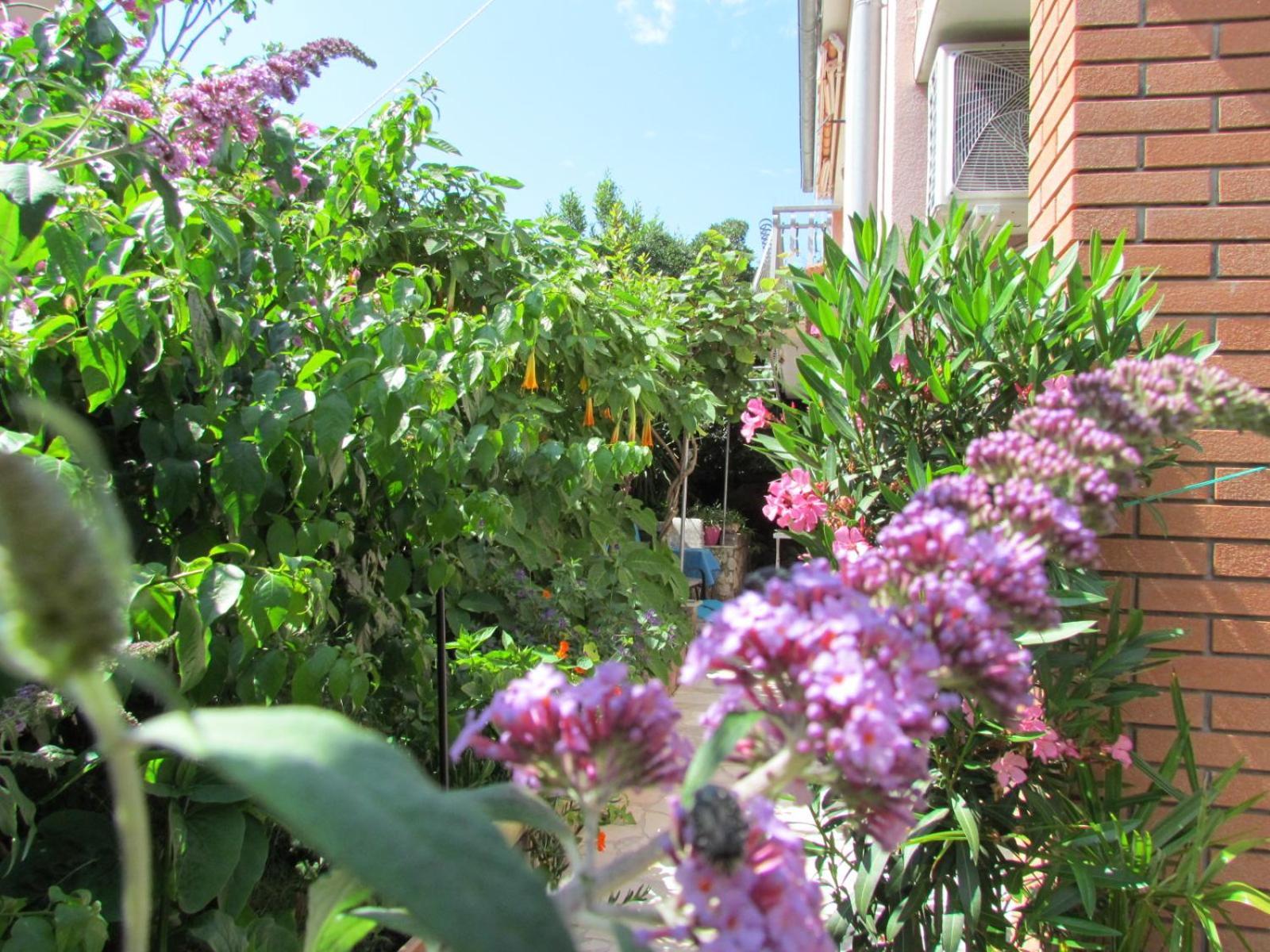 Apartments Bura & Jugo, Cres, Without Stress