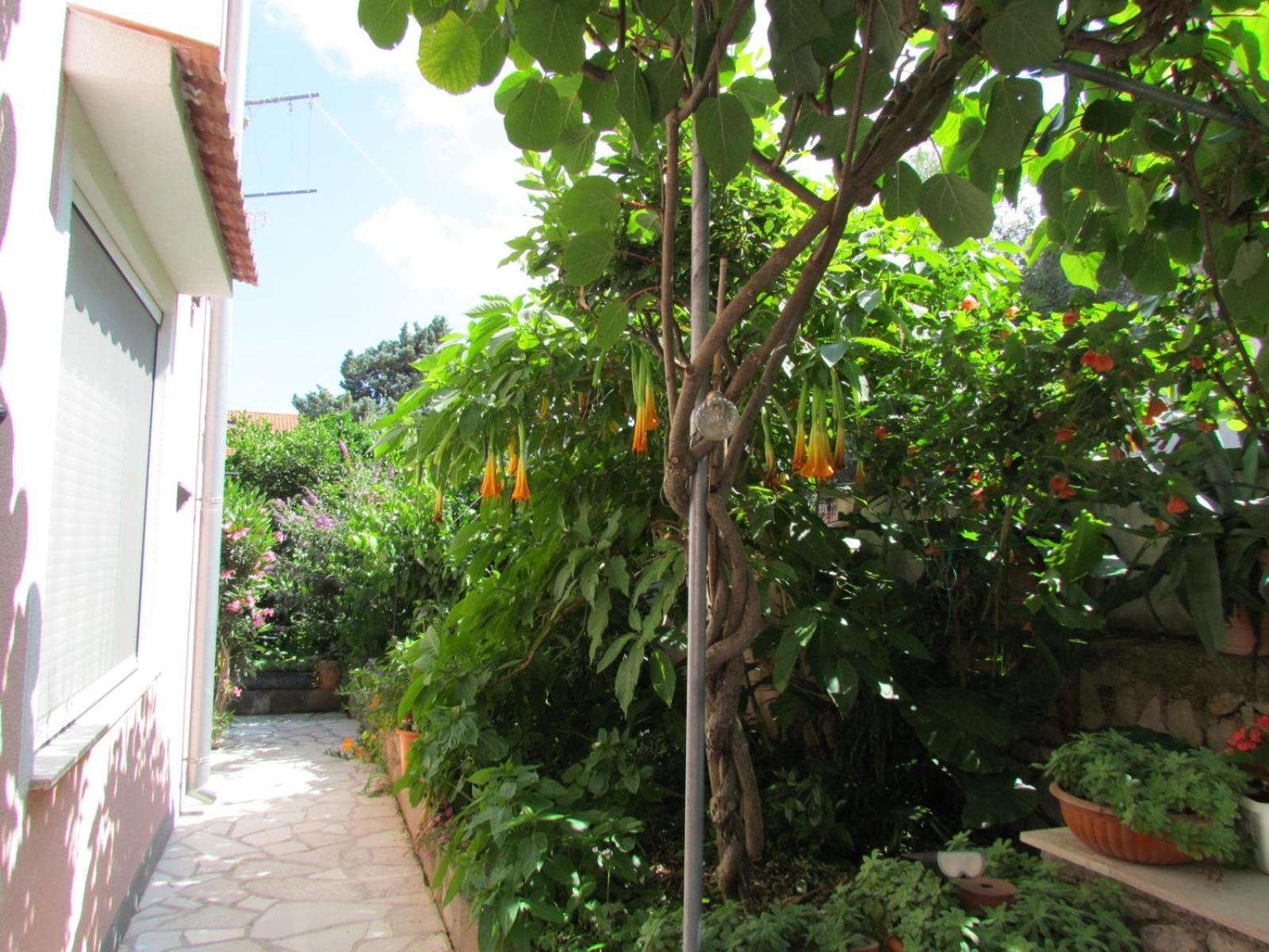 Apartments Bura & Jugo, Cres, Without Stress Cres