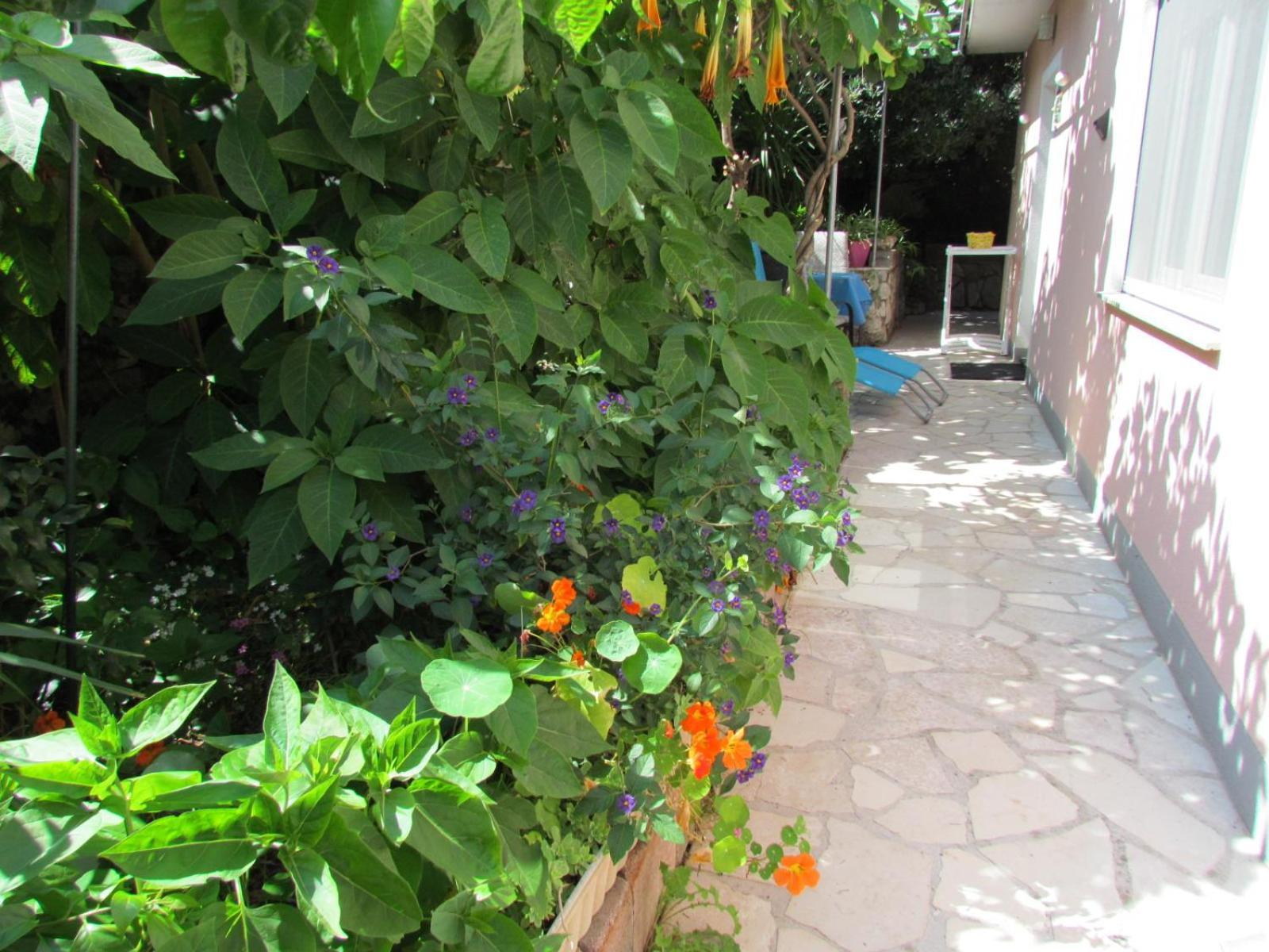 Apartments Bura & Jugo, Cres, Without Stress Apartment
