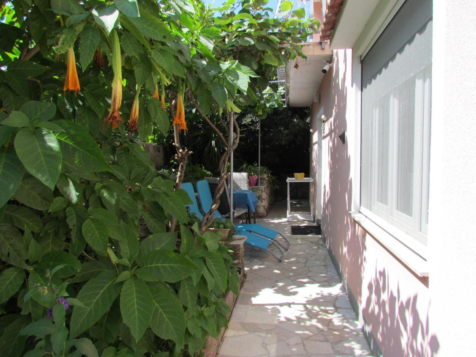 Apartments Bura & Jugo, Cres, Without Stress Apartment Cres